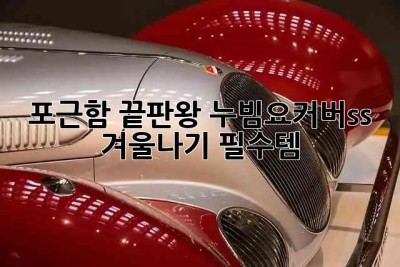 포근함 끝판왕! 누빔요커버ss 겨울나기 필수템❄️