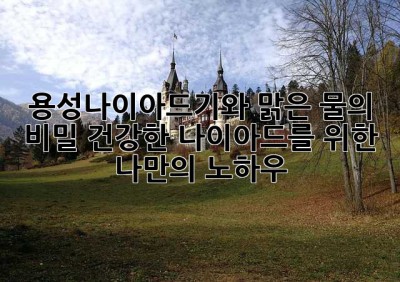 용성나이아드기와 맑은 물의 비밀: 건강한 나이아드를 위한 나만의 노하우