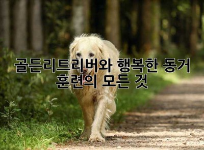 골든리트리버와 행복한 동거, 훈련의 모든 것