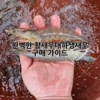 완벽한 활새우대하생새우 구매 가이드
