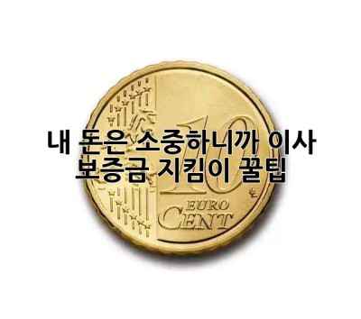 내 돈은 소중하니까!💰 이사 보증금 지킴이 꿀팁🍯