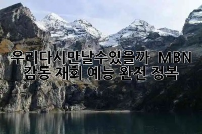 우리다시만날수있을까? ✨ MBN 감동 재회 예능 완전 정복!