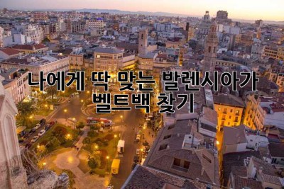 나에게 딱 맞는 발렌시아가 벨트백 찾기!