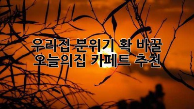 우리집 분위기 확 바꿀 오늘의집 카페트 추천! ✨