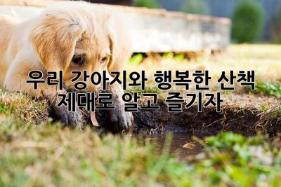 우리 강아지와 행복한 산책, 제대로 알고 즐기자!