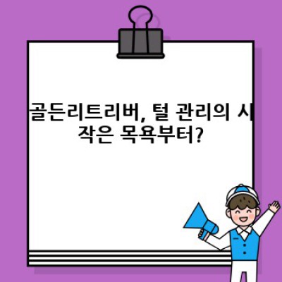 골든리트리버 목욕 완벽 가이드: 털 관리부터 건강까지!