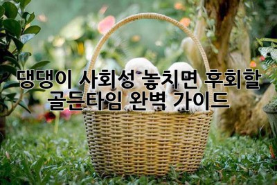 댕댕이 사회성, 놓치면 후회할 골든타임! 완벽 가이드🐶