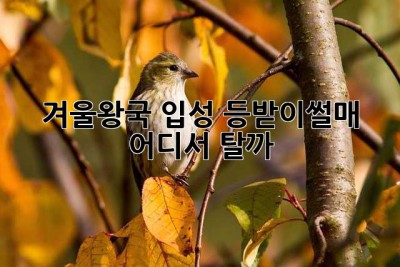 겨울왕국 입성! 등받이썰매, 어디서 탈까? 🤔