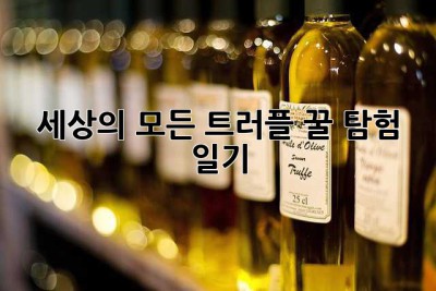 세상의 모든 트러플 꿀, 탐험 일기 🍯✨