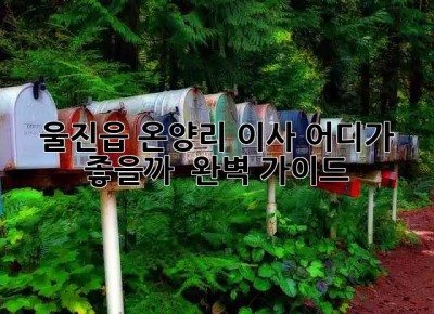 울진읍 온양리 이사, 어디가 좋을까? 🤔 완벽 가이드!