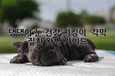 댕댕이 눈 건강 지킴이!  각막 질환 완벽 가이드🐶