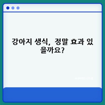 강아지생식, 정말 괜찮을까요? 궁금증 해결 완벽 가이드