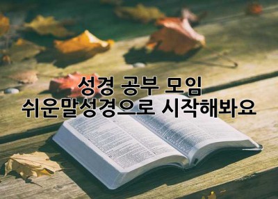 성경 공부 모임? 쉬운말성경으로 시작해봐요! 😊