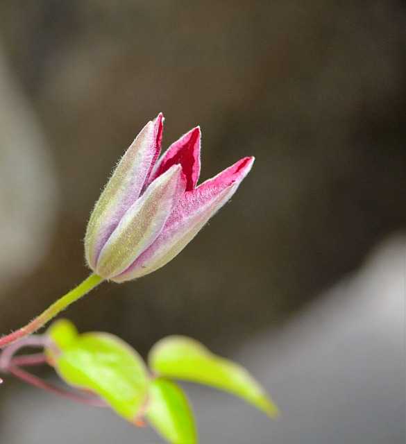 서핑초보자010.jpg